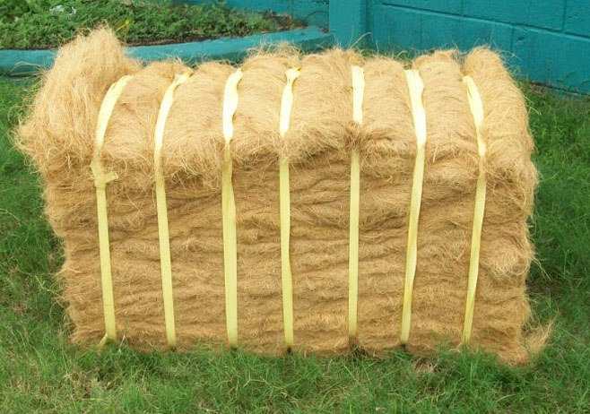 Coir Fibre-Bristle Fibre